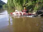 Wye Trip 2012 day 1 (David Miller) 22