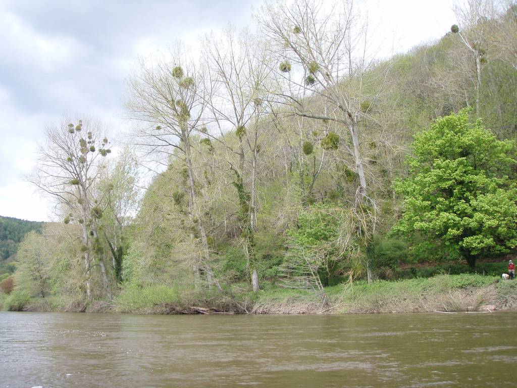 Wye Trip 2012 day 2 (David Miller) 55