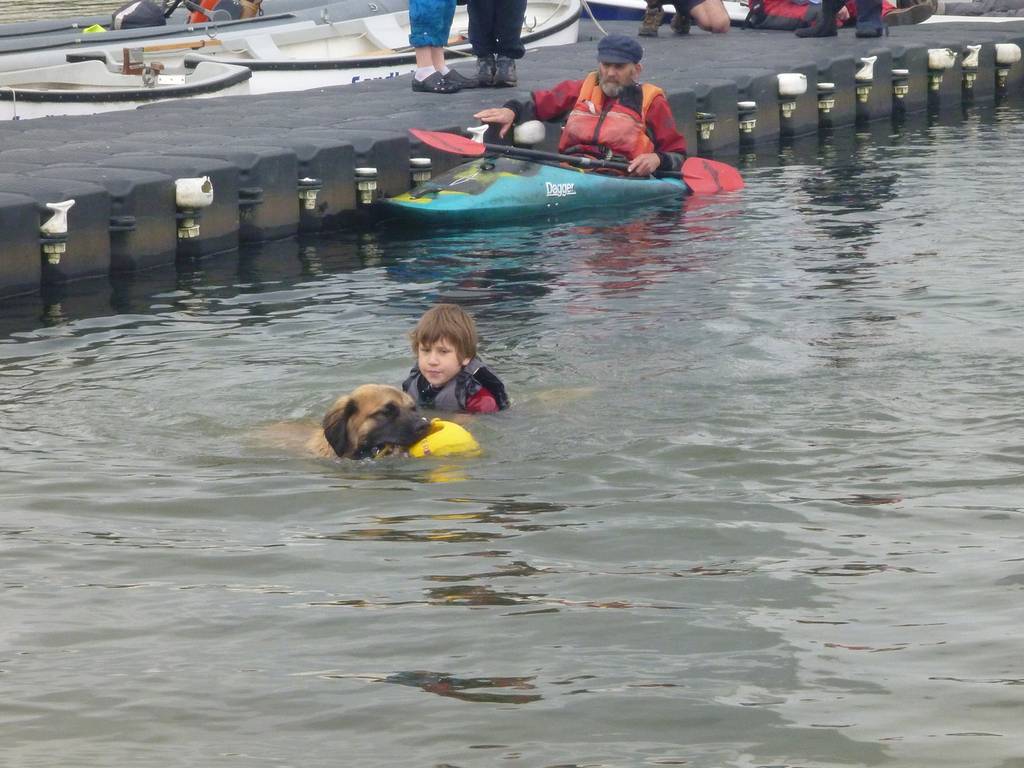 Beaver & Cub Water Activities, June 2012 42