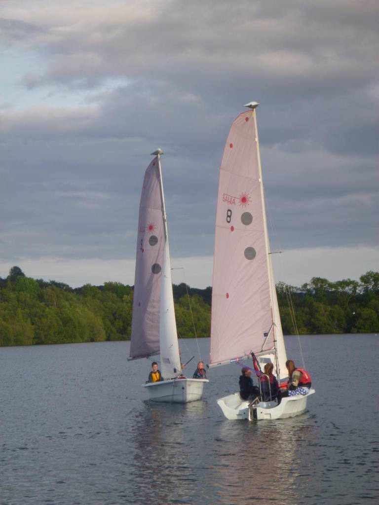 Beaver & Cub Water Activities, June 2014 3