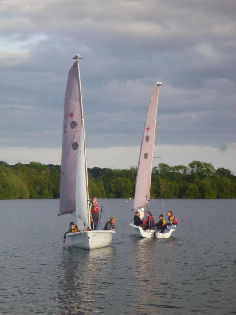 Beaver & Cub Water Activities, June 2014 18