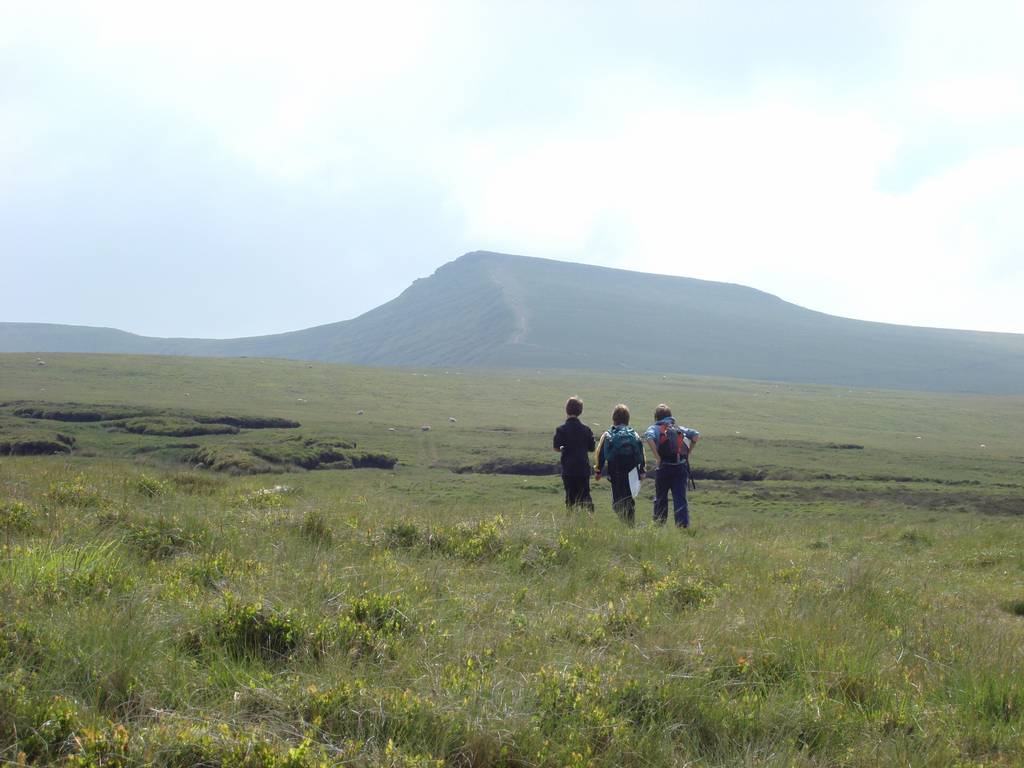 Brecon Beacons, June 2010 2