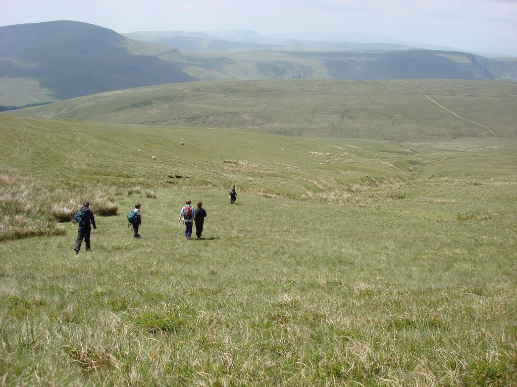 Brecon Beacons, June 2010 18