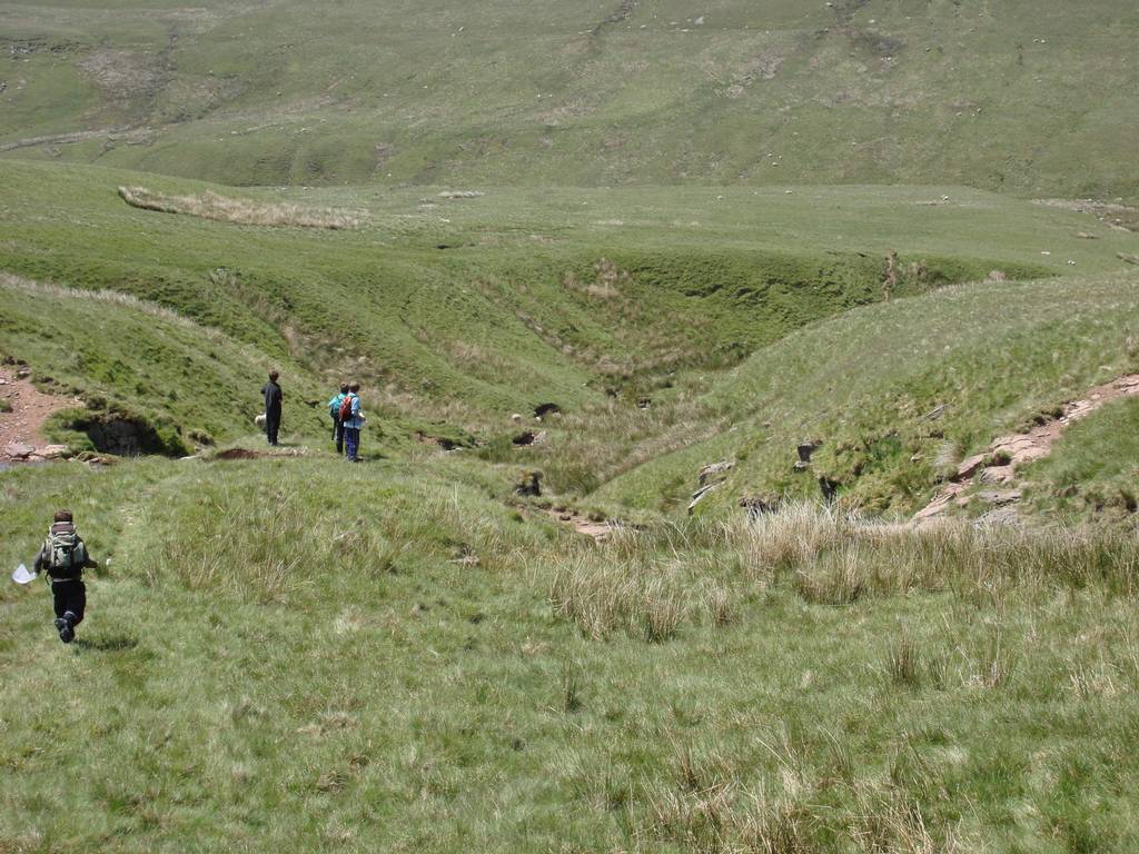 Brecon Beacons, June 2010 19