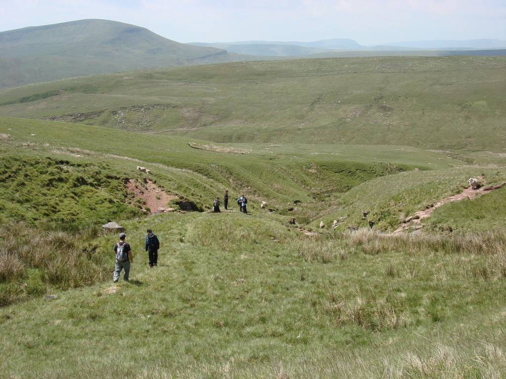 Brecon Beacons, June 2010 20