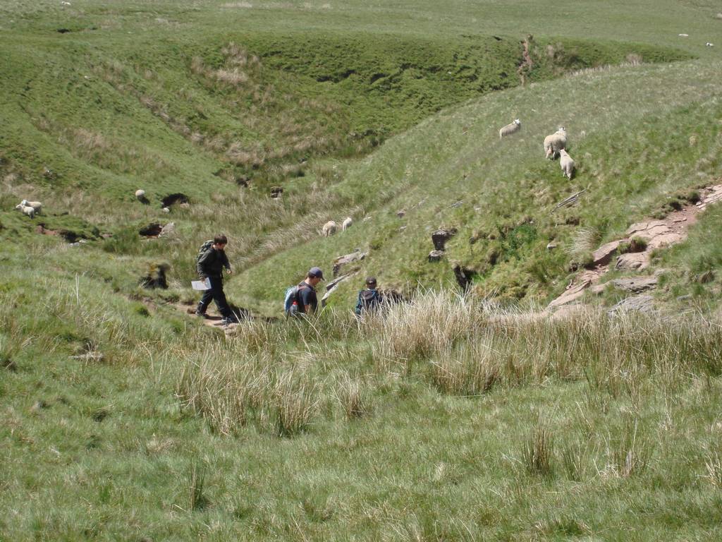 Brecon Beacons, June 2010 21