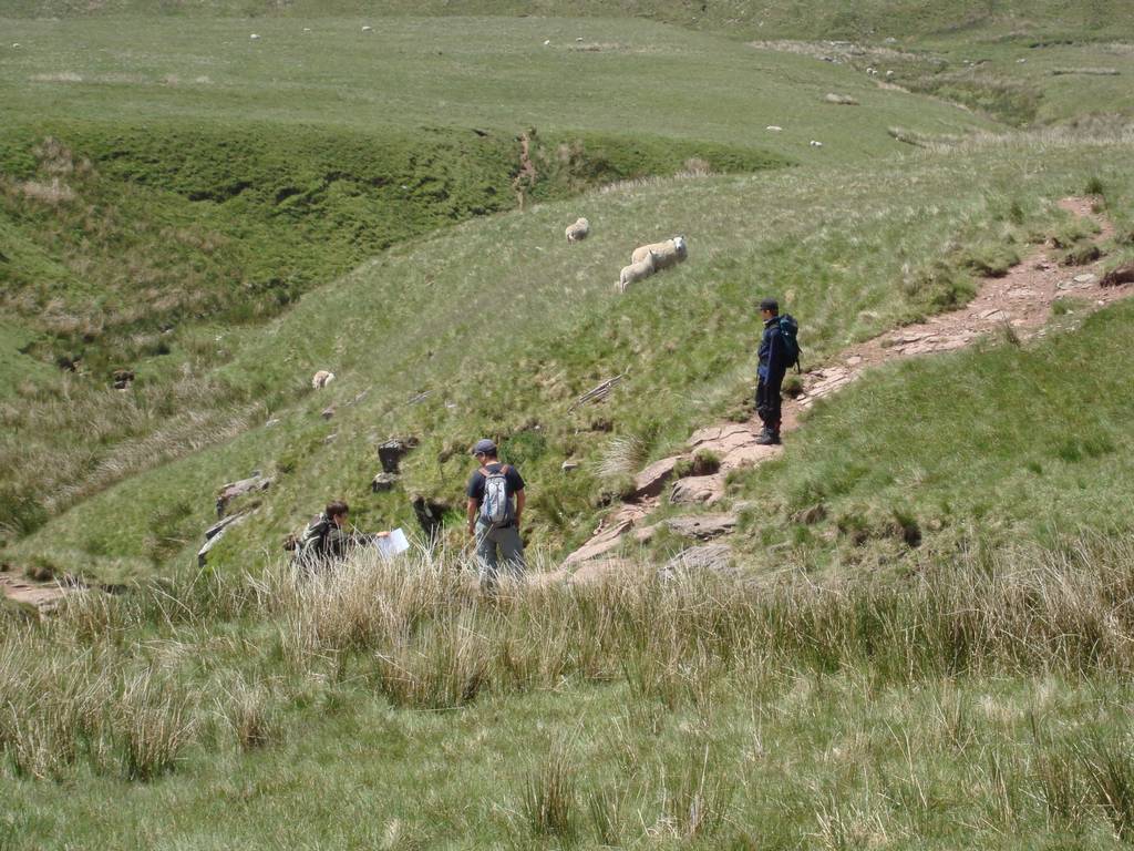 Brecon Beacons, June 2010 22