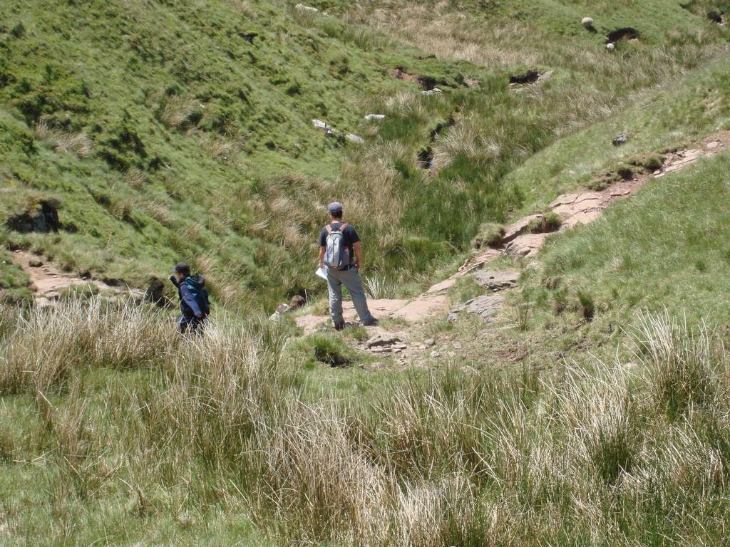 Brecon Beacons, June 2010 23