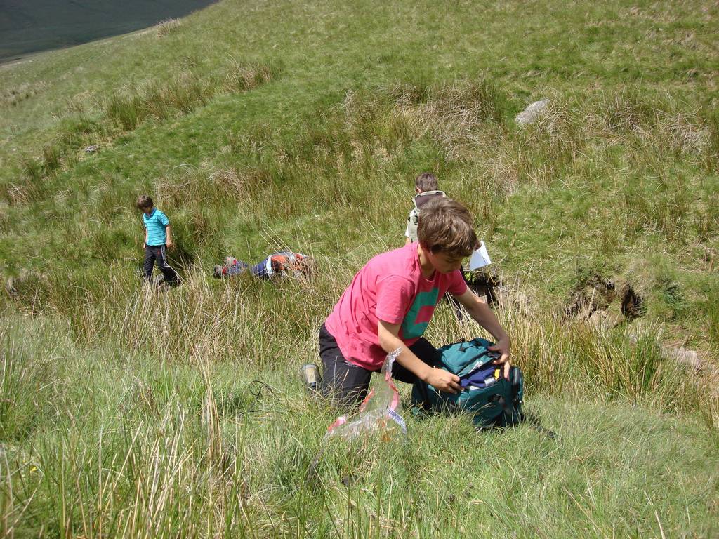 Brecon Beacons, June 2010 25