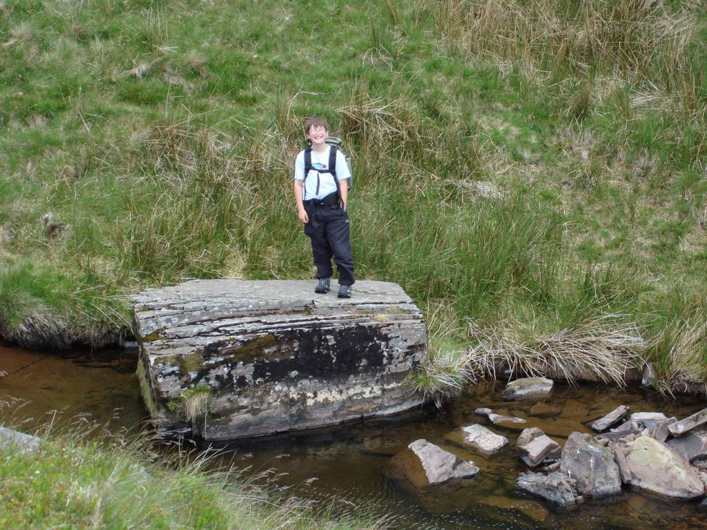 Brecon Beacons, June 2010 26