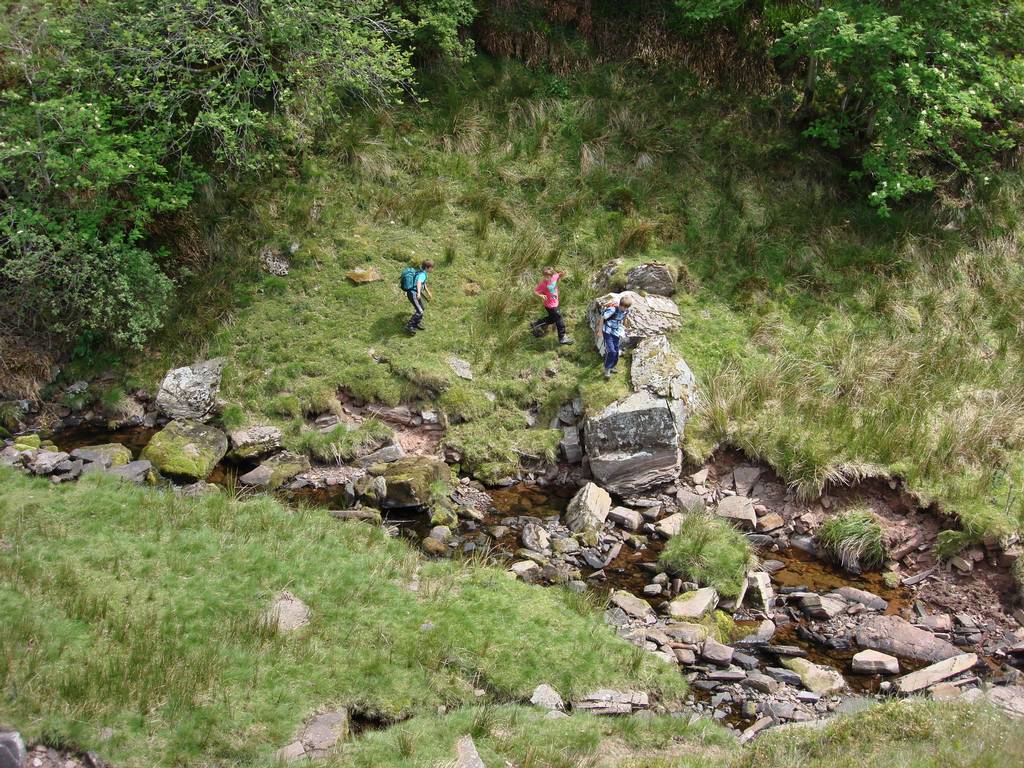 Brecon Beacons, June 2010 27