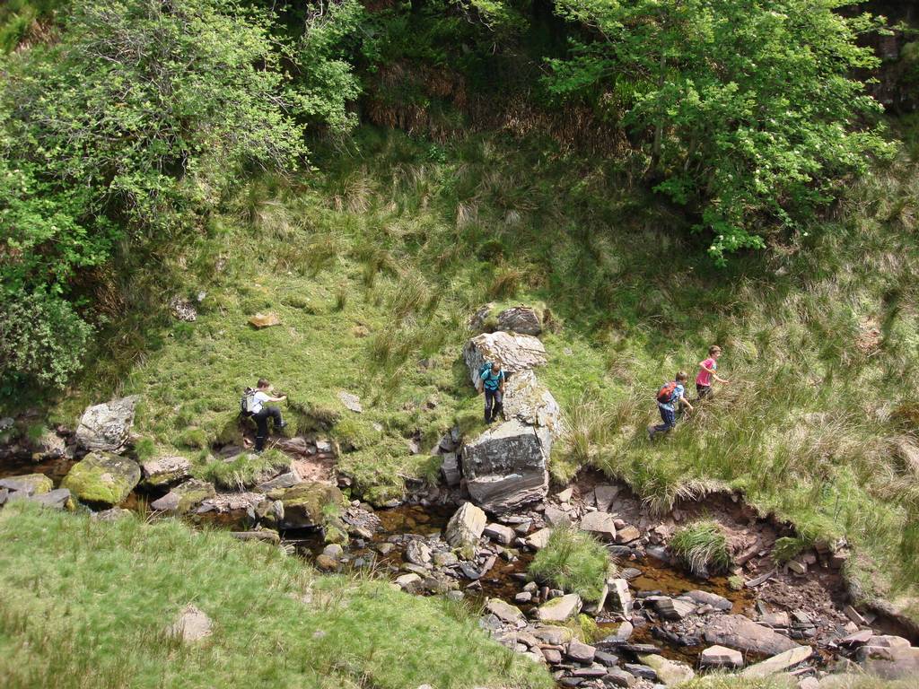 Brecon Beacons, June 2010 28