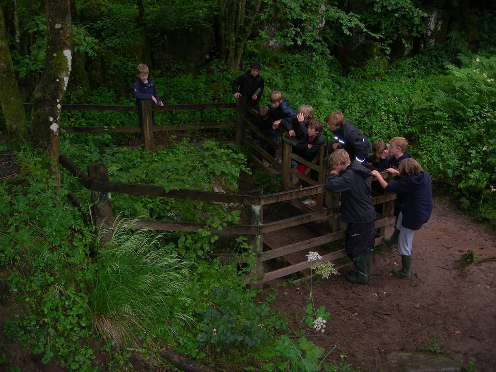 Scout Summer Camp, 2011 159