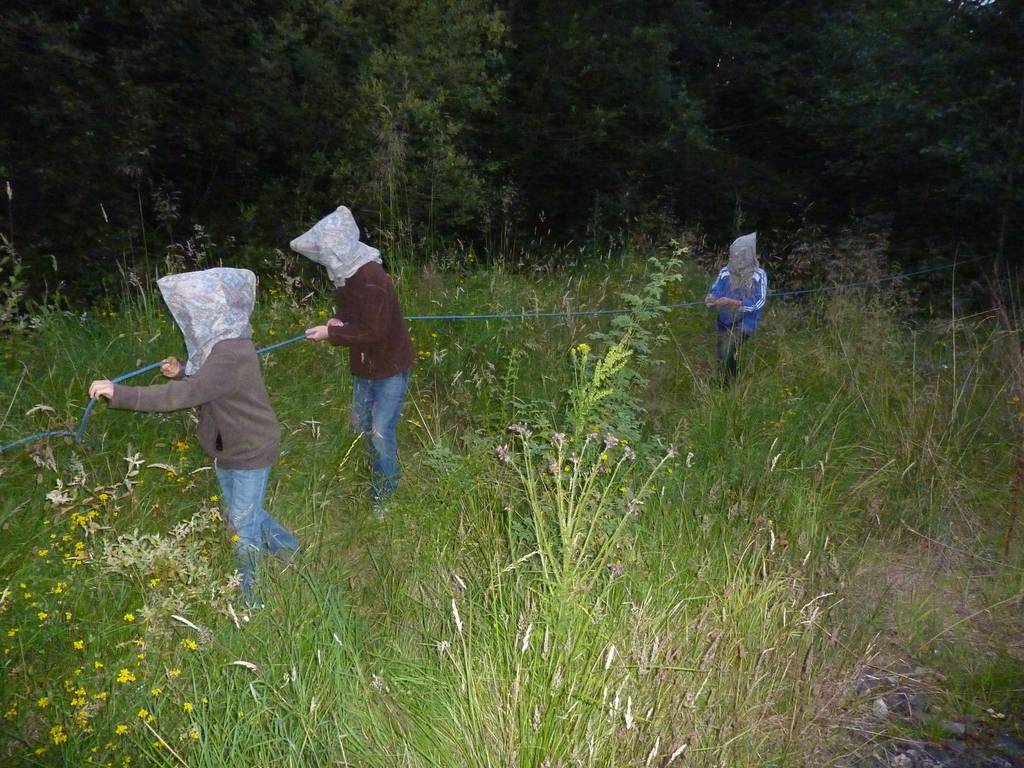 Scout Summer Camp, 2011 250