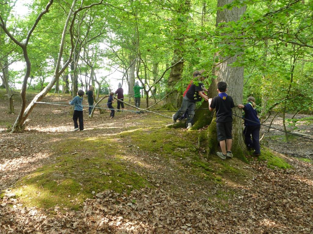 District St George's Activity Day 2011 13