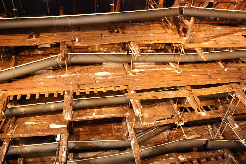 Mary Rose 2013 64