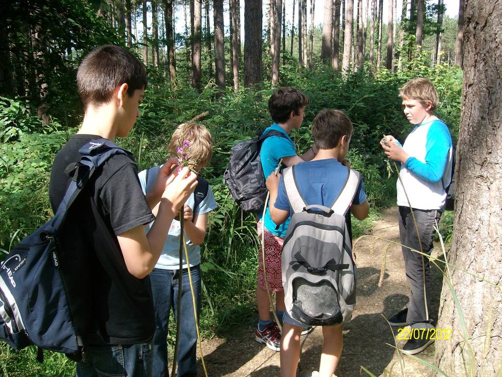 Scout Summer Camp, 2012 120