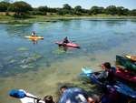 Scout Summer Camp, 2012 526