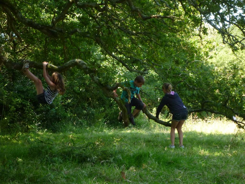 Scout Summer Camp, 2012 743