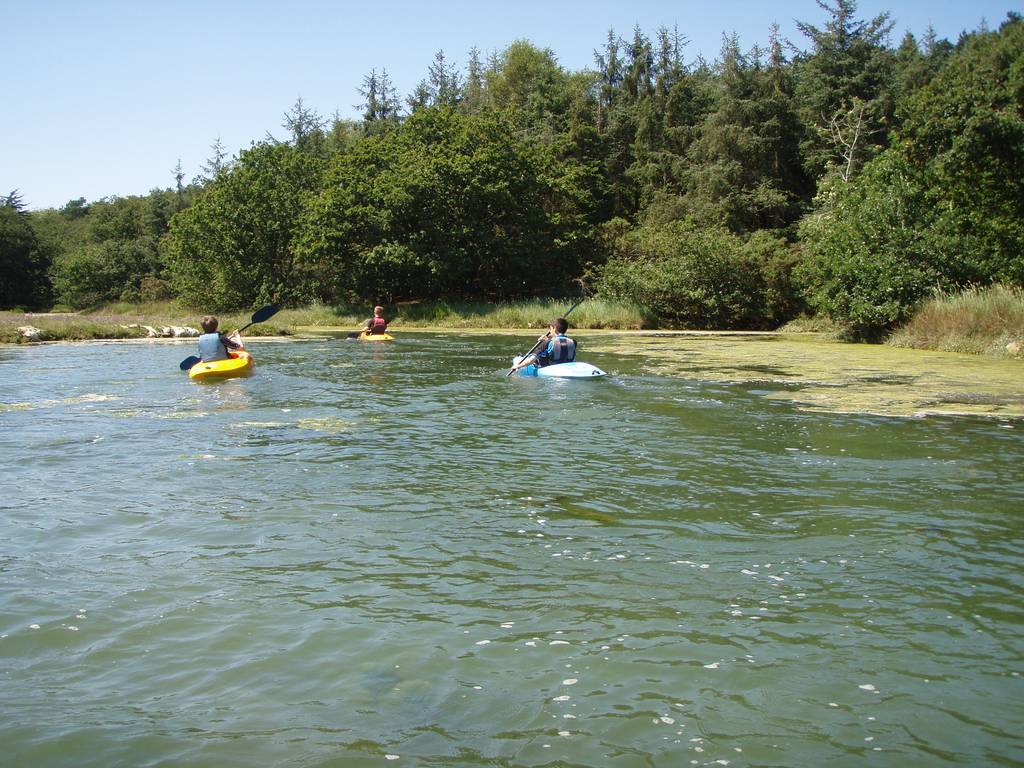 Scout Summer Camp, 2012 302