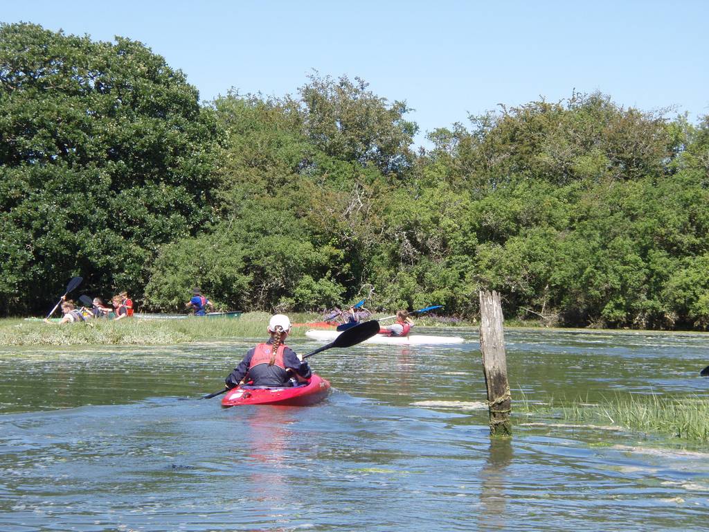 Scout Summer Camp, 2012 337