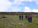 Dartmoor June 2013 26