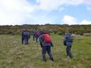 Dartmoor June 2013 8