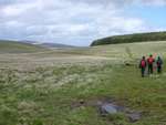 Dartmoor June 2013 14