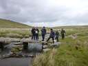 Dartmoor June 2013 28