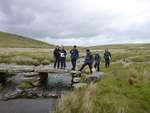 Dartmoor June 2013 28