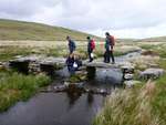 Dartmoor June 2013 27