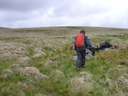 Dartmoor June 2013 21