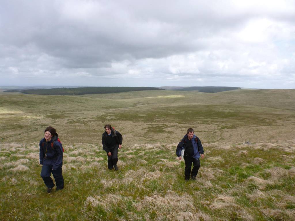 Dartmoor June 2013 7