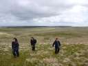 Dartmoor June 2013 7