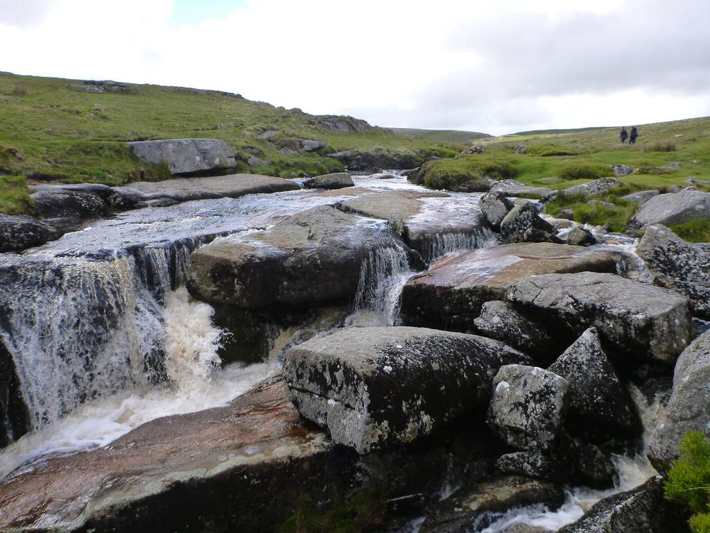 Dartmoor June 2013 11