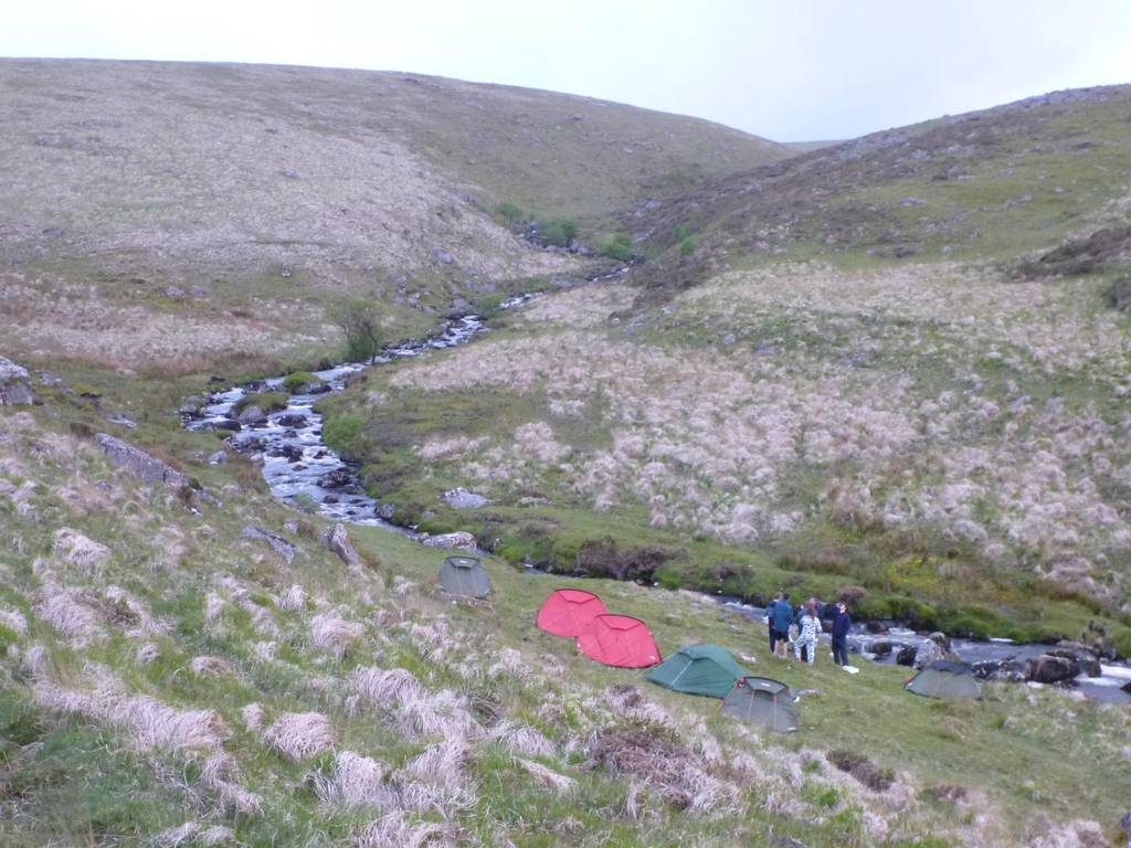 Dartmoor June 2013 20