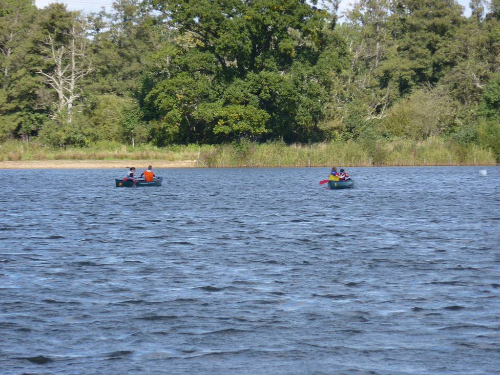 TestwoodRegatta2010 10