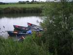 Thames Canoe 2013 85