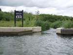 Thames Canoe 2013 96