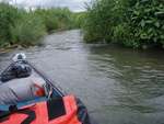 Thames Canoe 2013 97