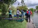 Thames Canoe 2013 118