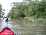 Thames Canoe 2013 126