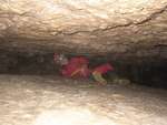 Scout Caving, 8 March 2014 6